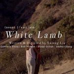 White Lamb Poster