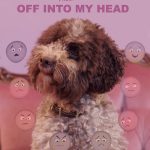 Off Into My Head Poster