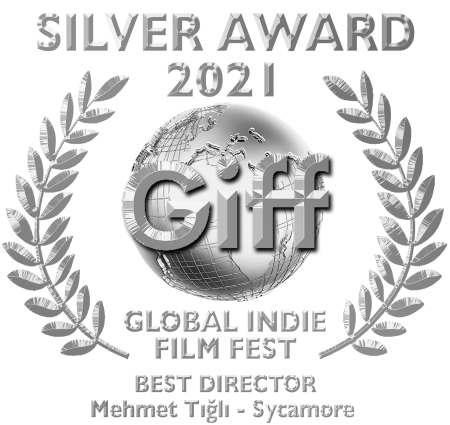 Silver Award Best Director