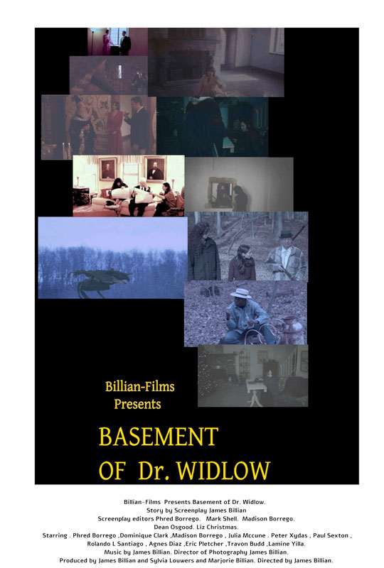 Basement of Dr Widlow poster