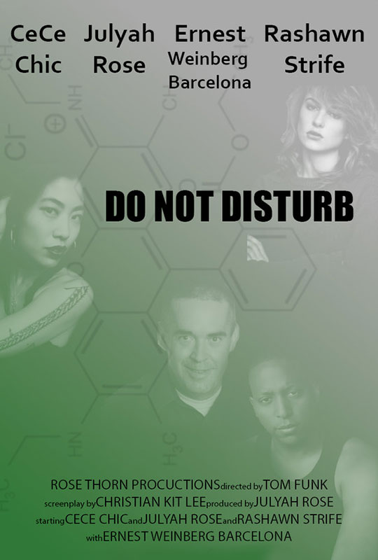 Do Not Disturb film poster