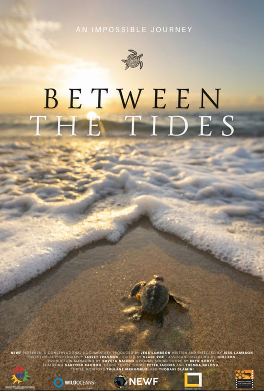 Between the Tides film poster