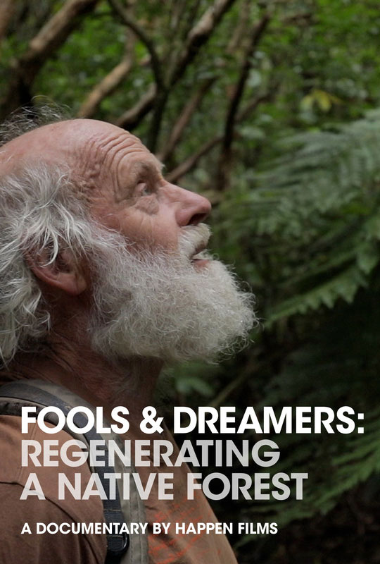 Fools & Dreamers film poster