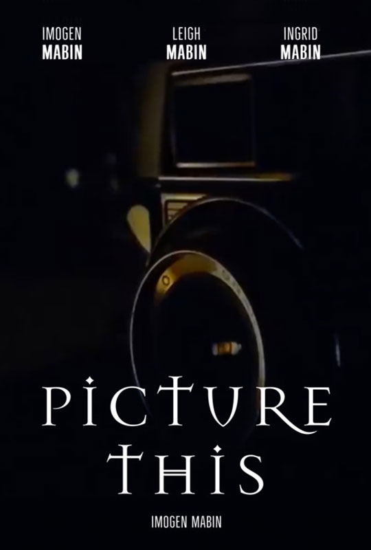 Picture This film poster