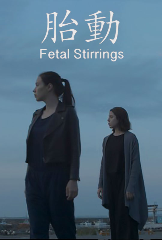 Fetal Stirrings film poster
