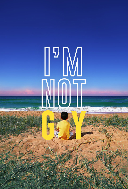 I'm not gay film poster