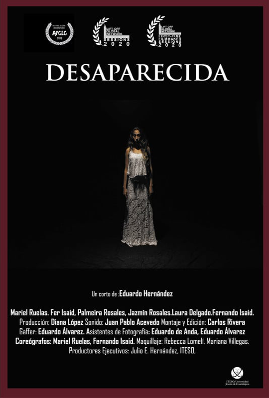 DESAPARECIDA film poster
