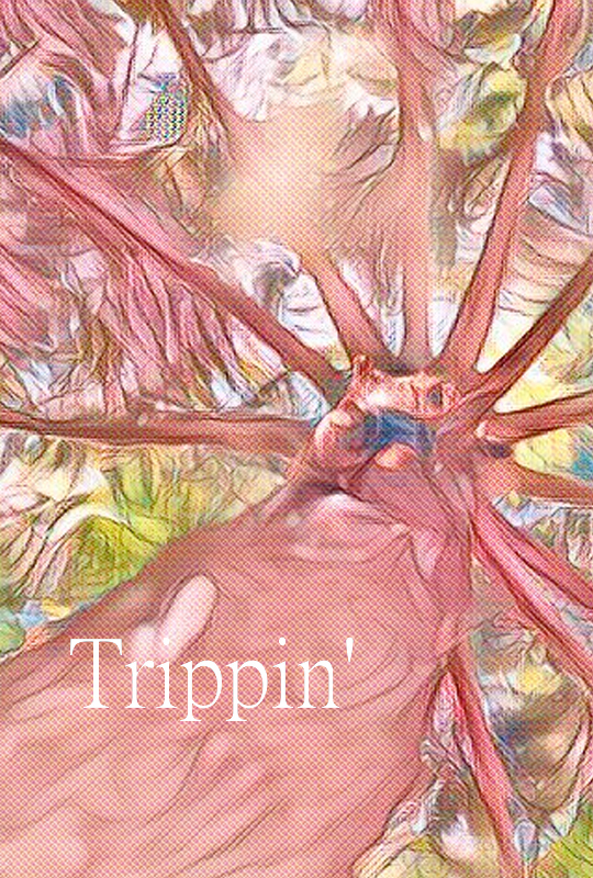 Trippin film poster