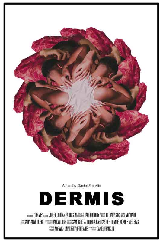 Dermis film poster