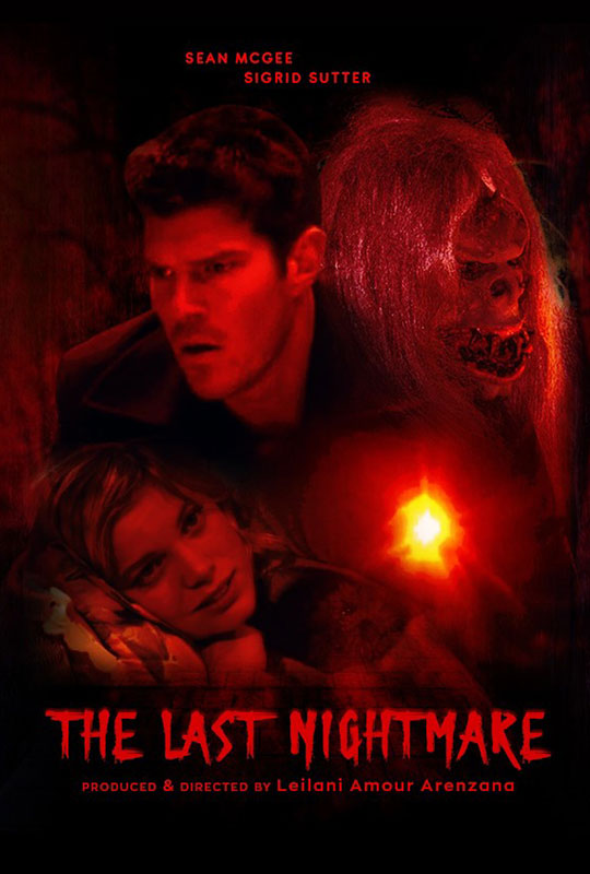 The Last Nightmare film poster